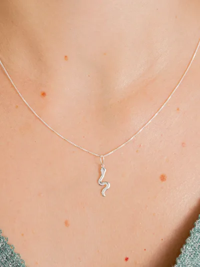 Conjunto de Prata 925 Cobra — foto 2